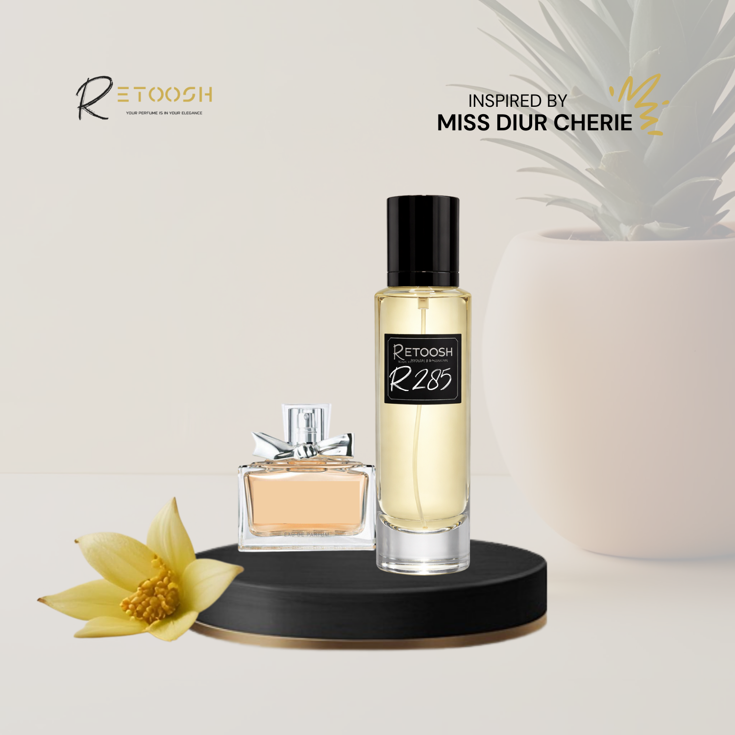 Retoosh Perfumes
